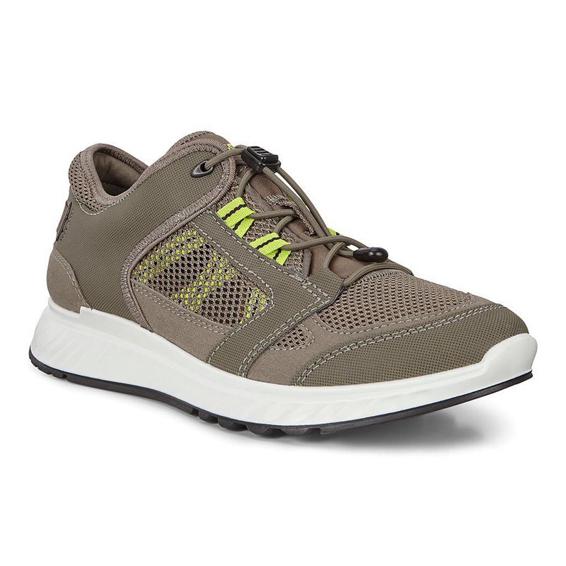 Men Outdoor Ecco Exostride M - Sneakers Green - India CNPGEM780